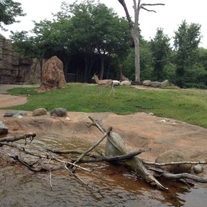 Meet your Posher, Heidi